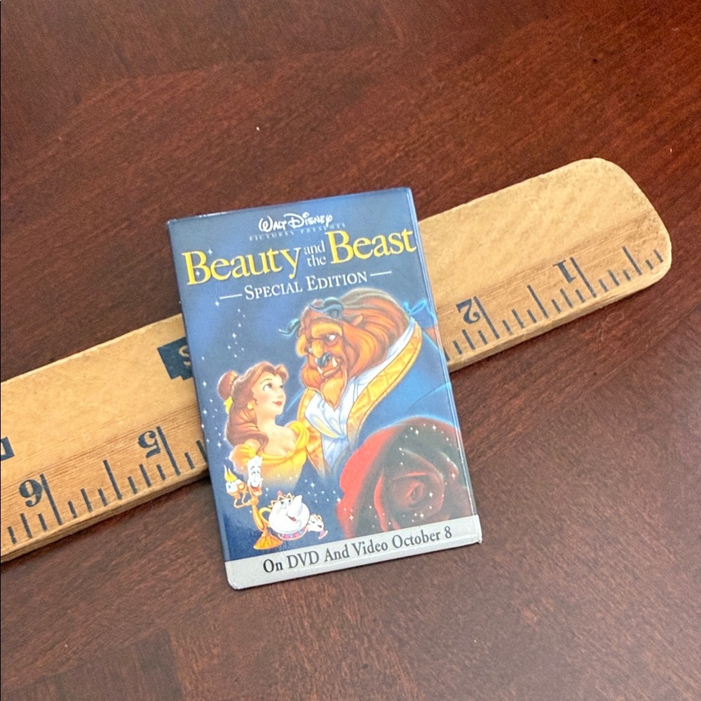 Vintage Beauty and the Beast Brooch